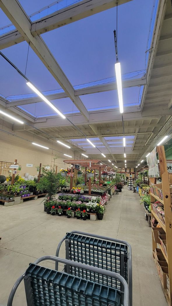 Indoor garden center with rows of potted plants under bright skylights and fluorescent lights