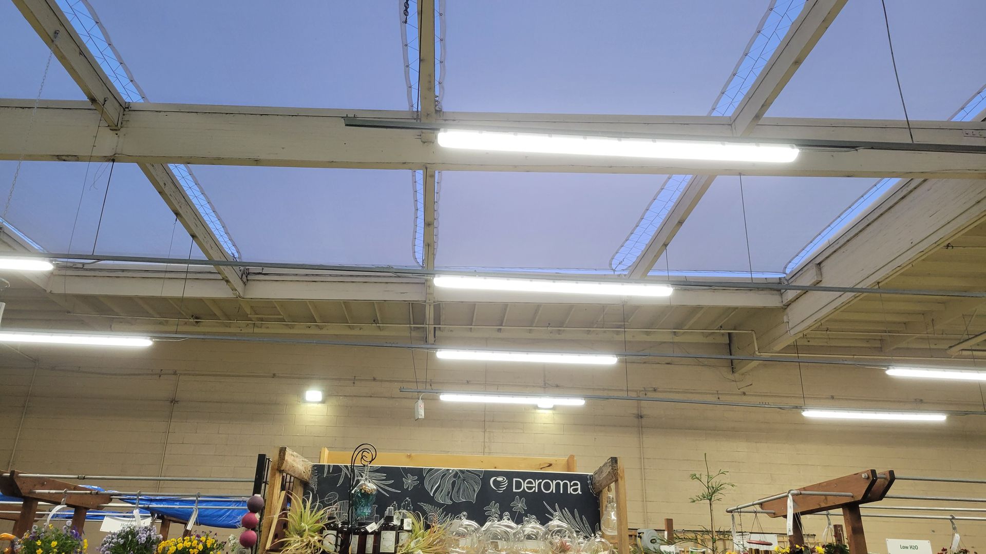 Store interior with skylight ceiling, fluorescent lights, and merchandise displays below.