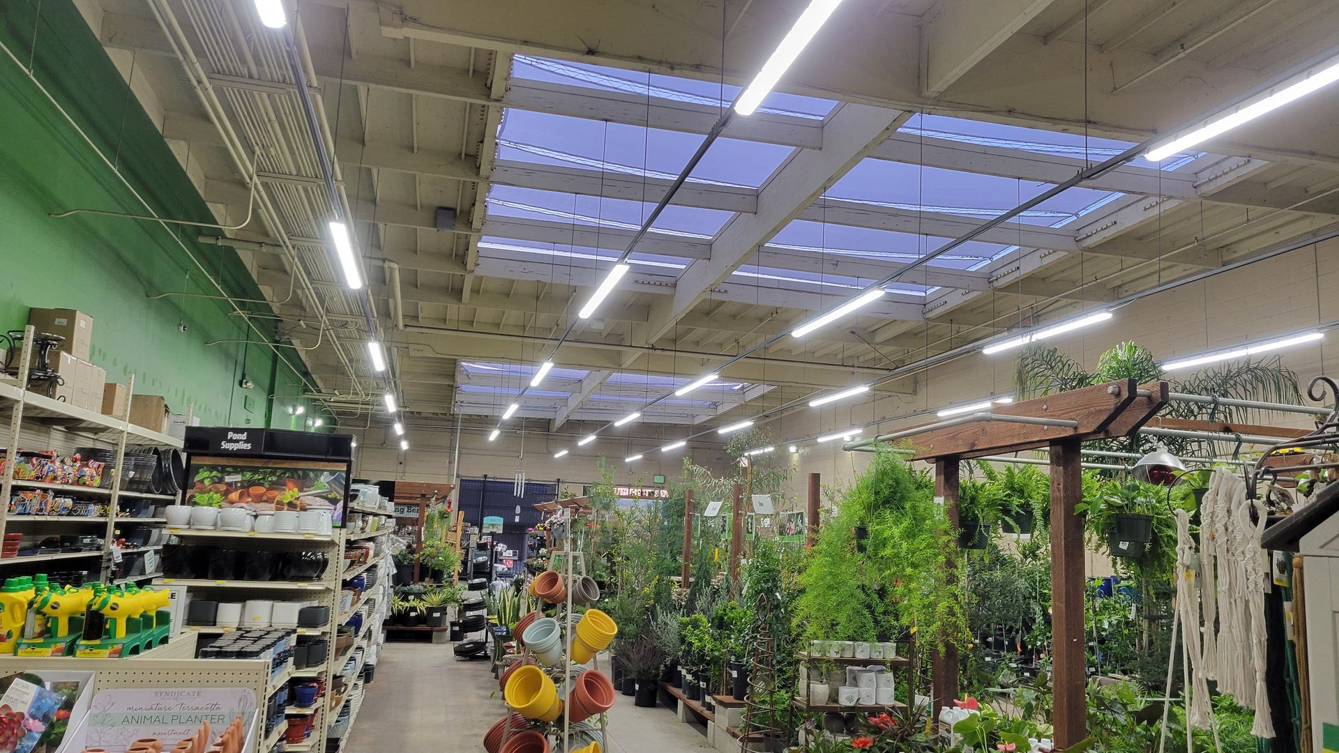 Garden center aisle with plants, flowers, and shelves under a skylit ceiling