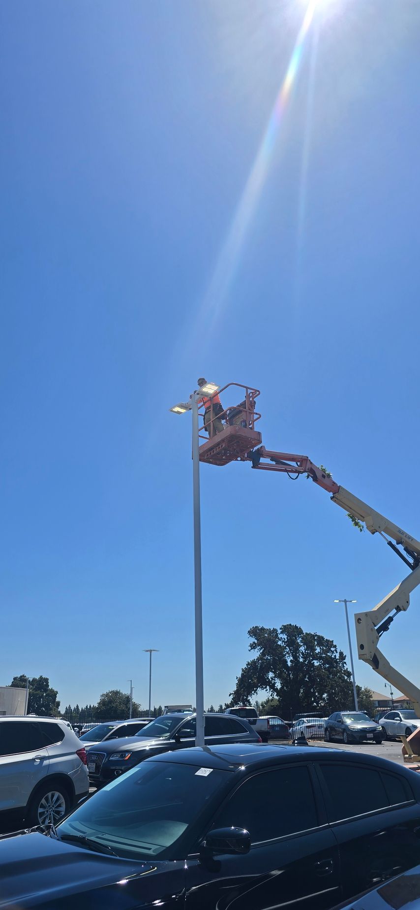 Worker in a bucket lift trimming a tall pole in a sunny parking lot with parked cars below