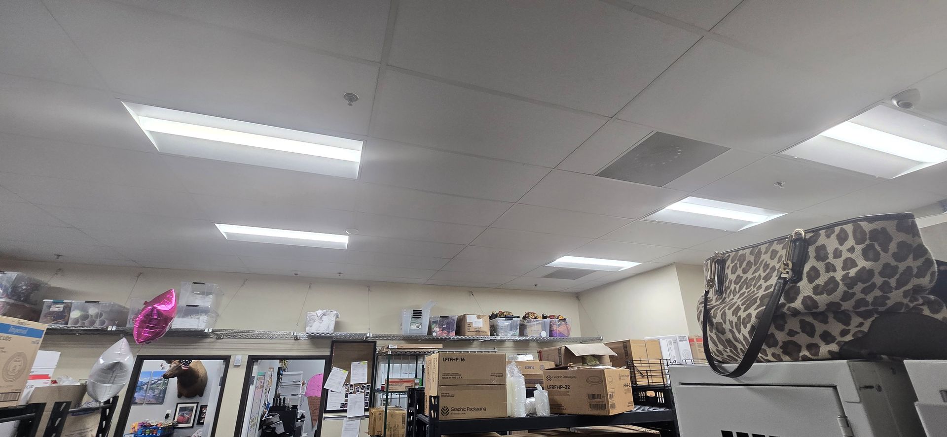 Store interior with shelves, fluorescent ceiling lights, and a leopard-print bag on the right.