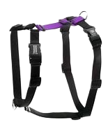 Blue-9 Balance Harness