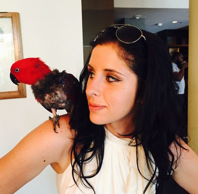 Beckie Smith-Legal Assist