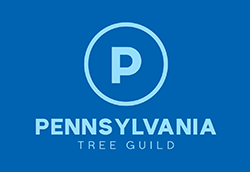Pennsylvania Tree Guild logo: Blue circle with a 
