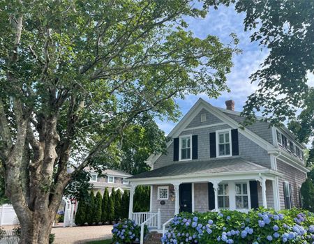 Gray shingled house with black shutters, white trim, and hydrangeas under a tree.