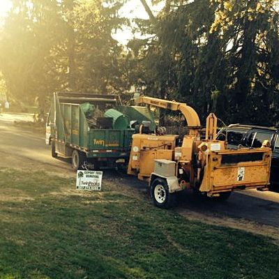 Green tree trimming truck parked on a road, with the lift arm extended towards a tree.