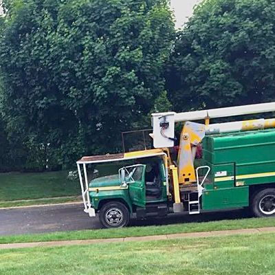 Green tree trimming truck parked on grass next to a road, with a raised bucket.