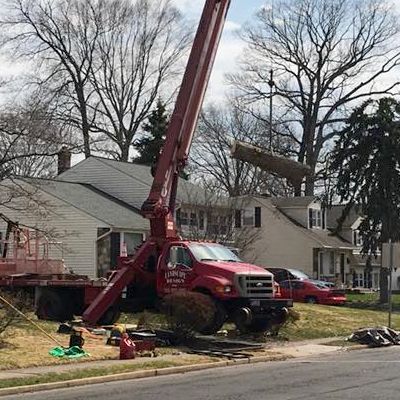 Truck with crane removing tree limb in front of houses on a sunny day.