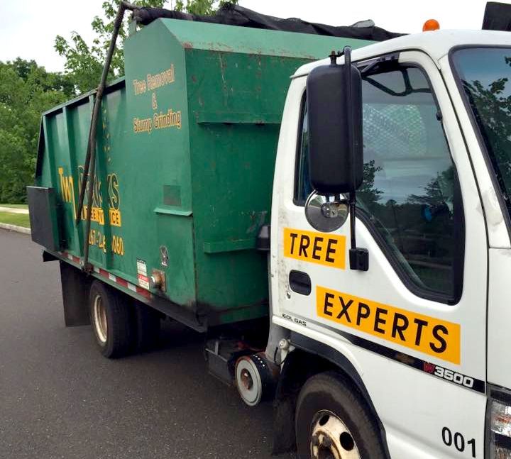 Green tree service truck with