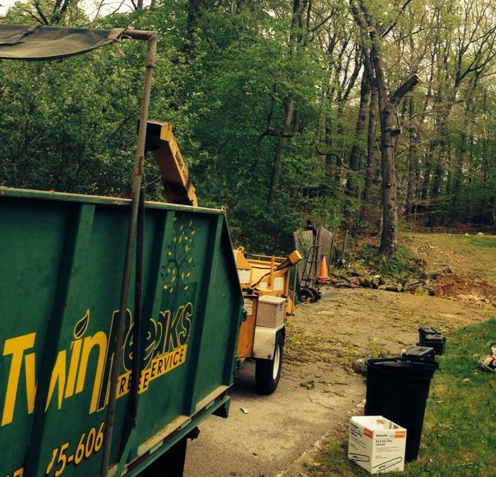 Green tree service truck and wood chipper, processing tree limbs in a wooded area.