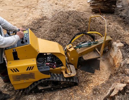 A yellow stump grinder being operated, removing a tree stump.  A person controls the machine with a control panel.
