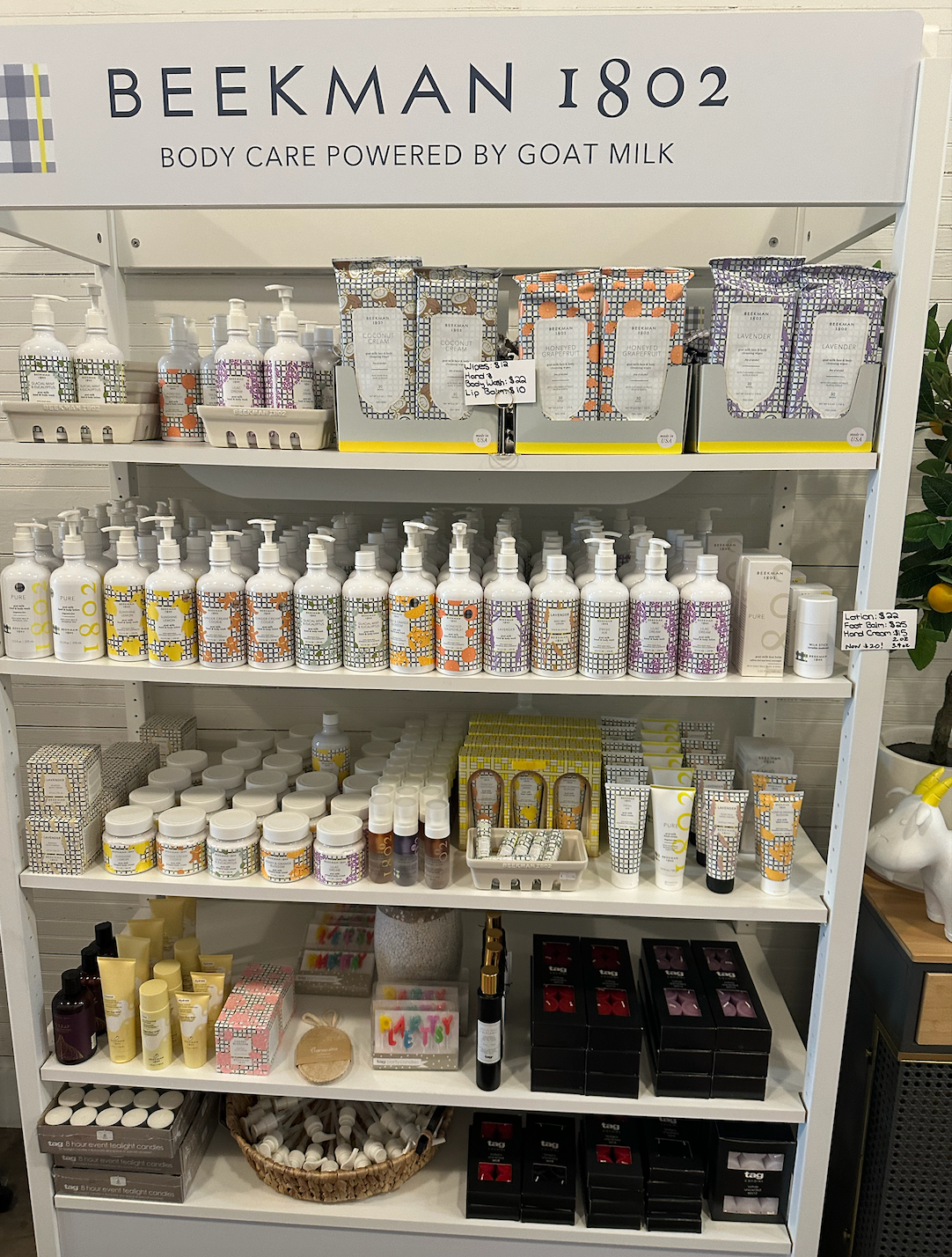 A display case filled with a variety of cosmetic products.