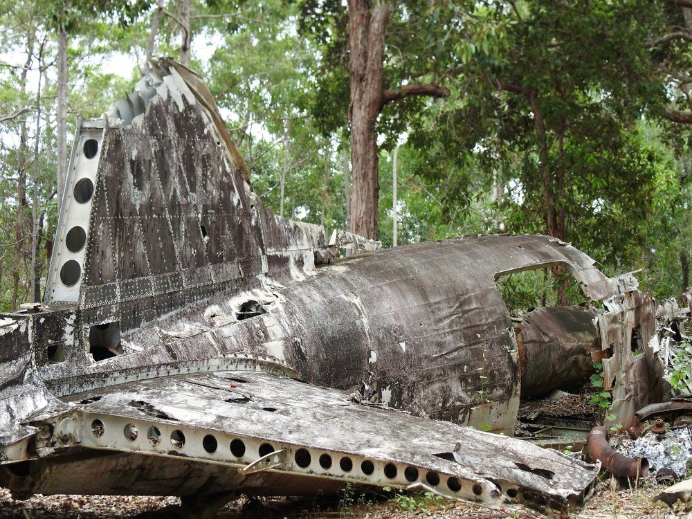 Remains Of A Crashed DC3 In The Rainforest At The Top — Tagalong Tours in Cairns, QLD