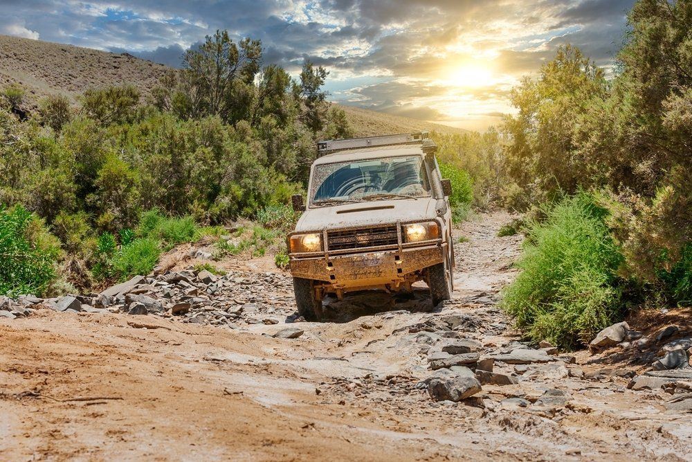 Off Roading With An All Terrain Vehicle Through A Dry Riverbed — Tagalong Tours in Cairns, QLD