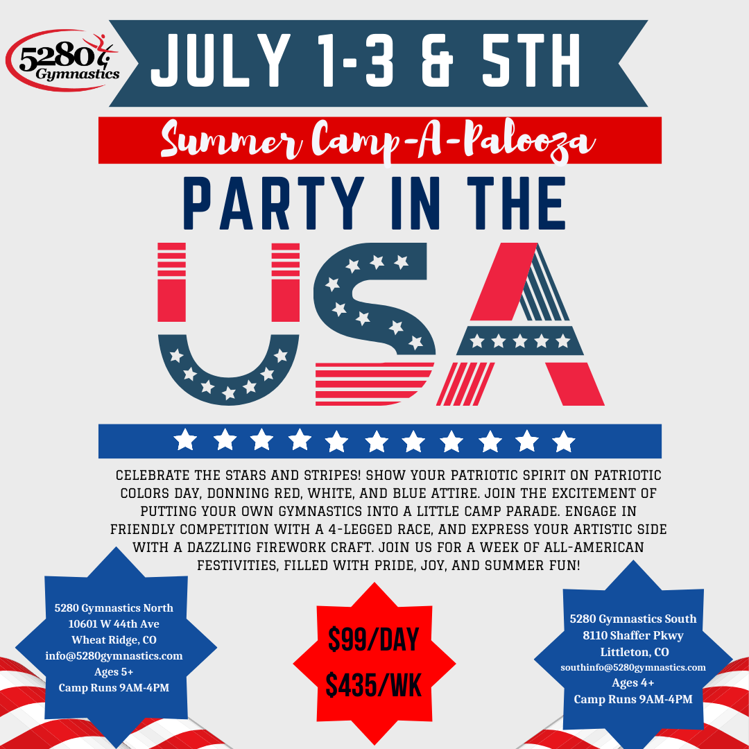 A poster for a summer camp called party in the usa