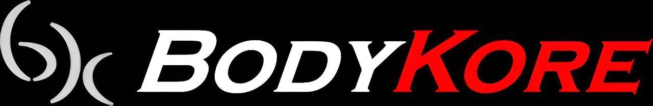 The Hudson Steel logo, featuring a capital letter H inside a circle followed by the company name in black text.