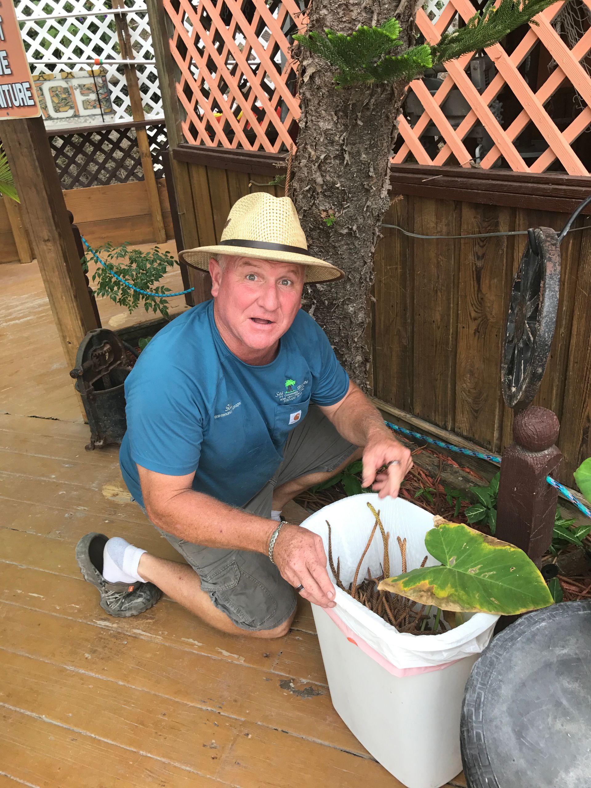 A man wearing a hat is kneeling down next to a potted plant.