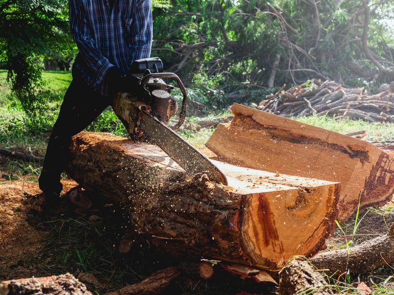 A man is cutting a large log with a chainsaw.