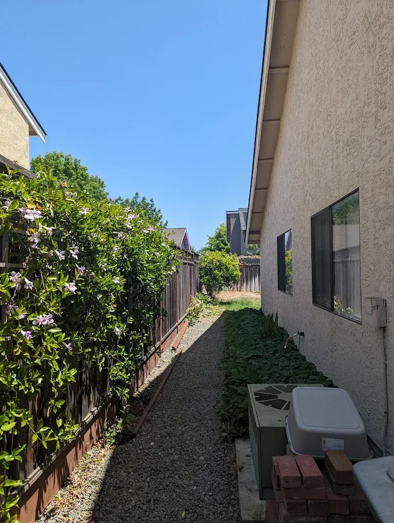 A sidewalk leading to a house with a fence and bushes