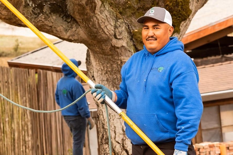 A man in a blue hoodie is holding a yellow pole in front of a tree.