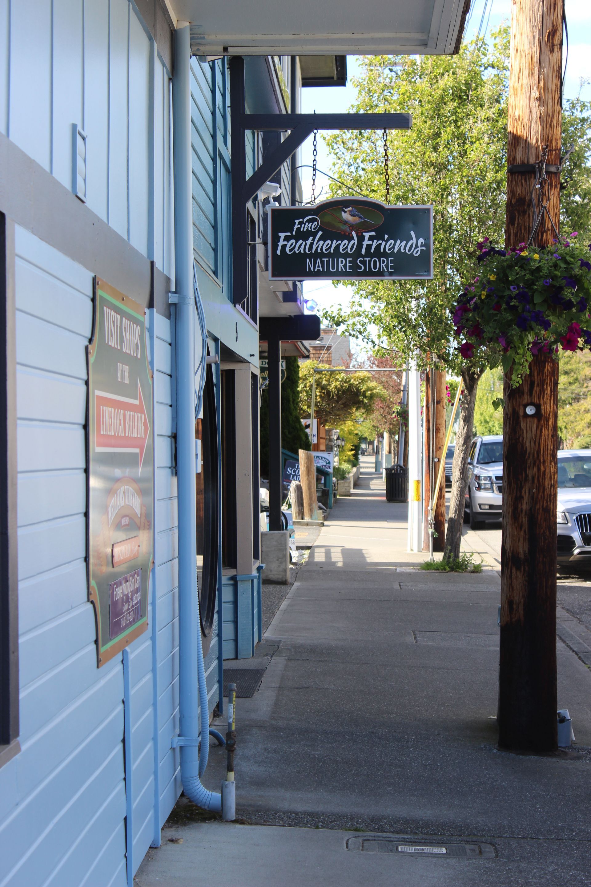 A sidewalk between two buildings with a sign that says the forgotten friends