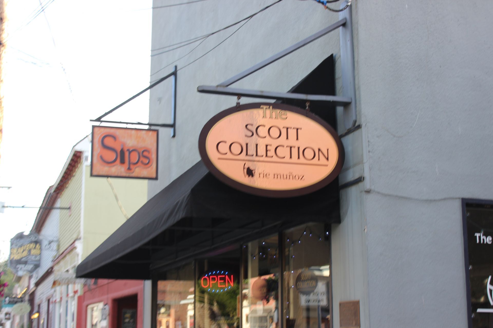 A store front with a sign that says the scott collection