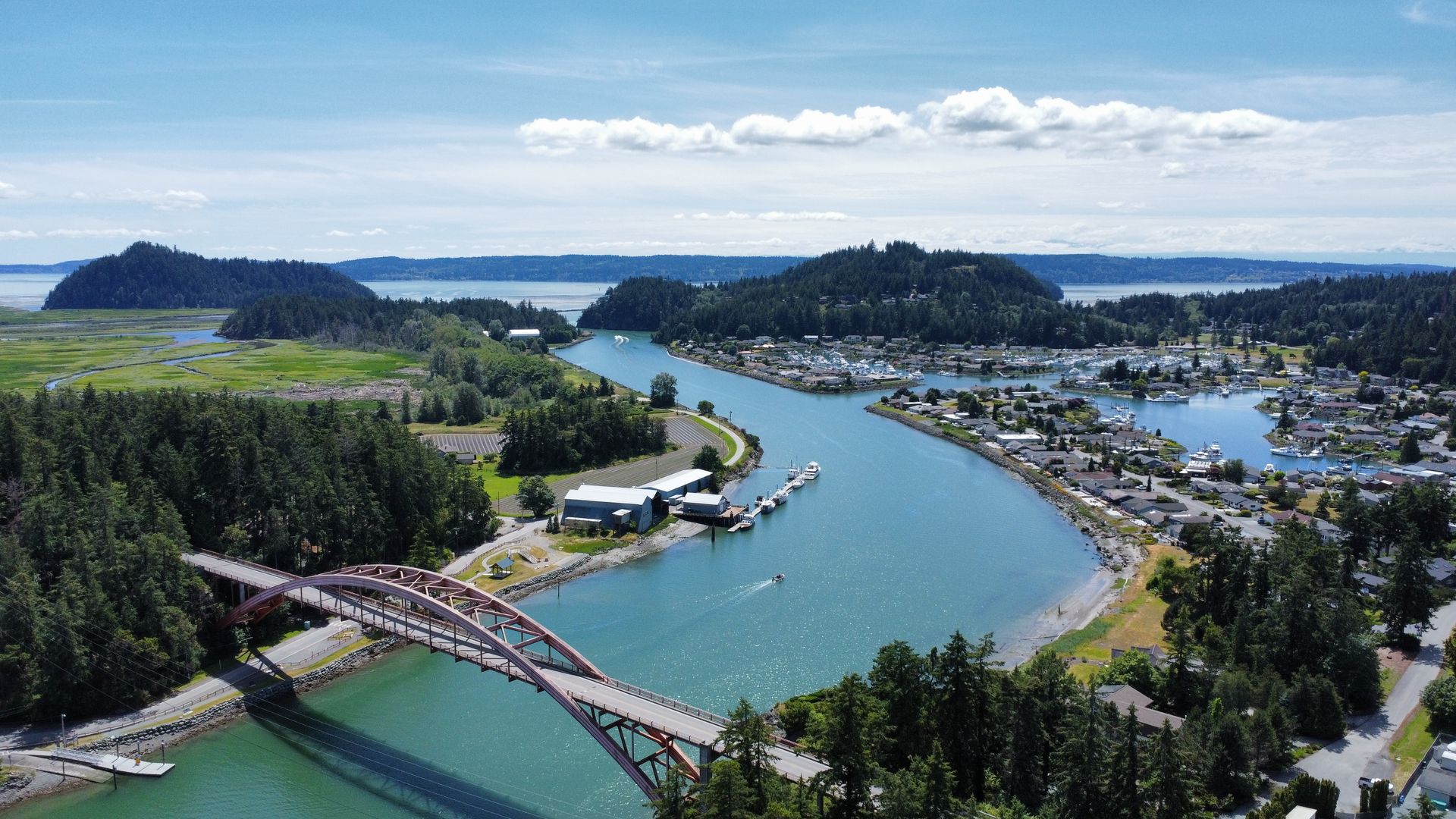 An aerial view of a bridge over a river surrounded by trees.