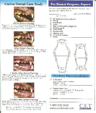Dental Health Samples | Parma, OH | Aaron Animal Clinic