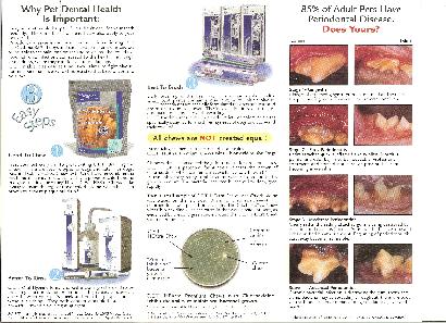 Dental Health Illustration | Parma, OH | Aaron Animal Clinic