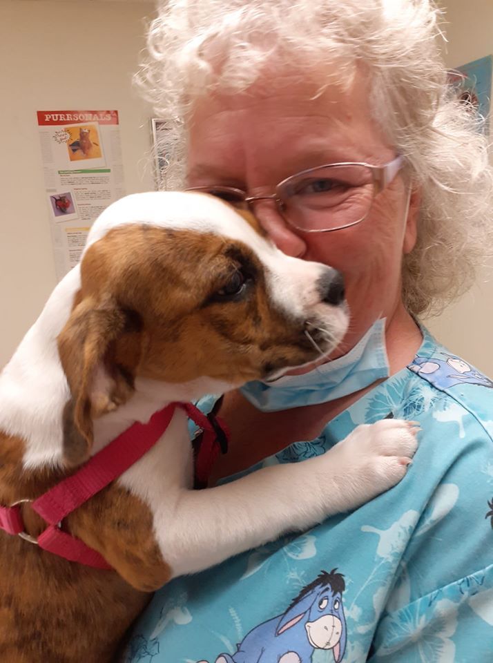 Healthy Puppy with the Vet Nurse | Parma, OH | Aaron Animal Clinic