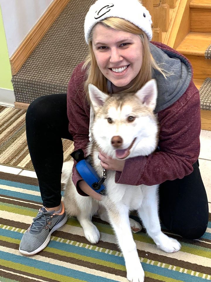 White Furry Dog | Parma, OH | Aaron Animal Clinic