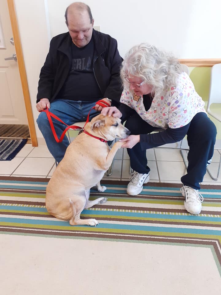 Behave Dog | Parma, OH | Aaron Animal Clinic