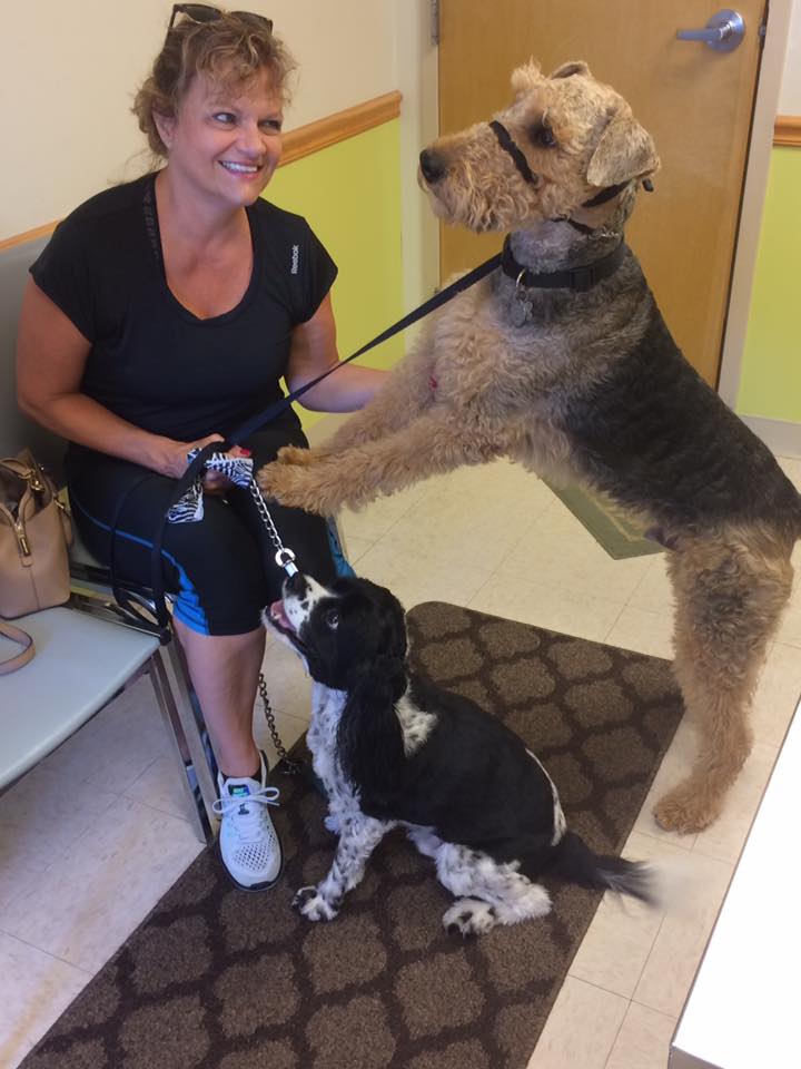 Woman with Her Two Dogs | Parma, OH | Aaron Animal Clinic