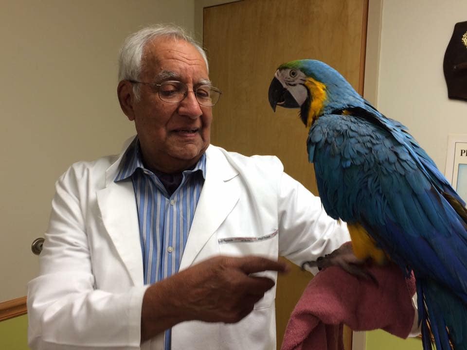 Dog Patient on the Table | Parma, OH | Aaron Animal Clinic