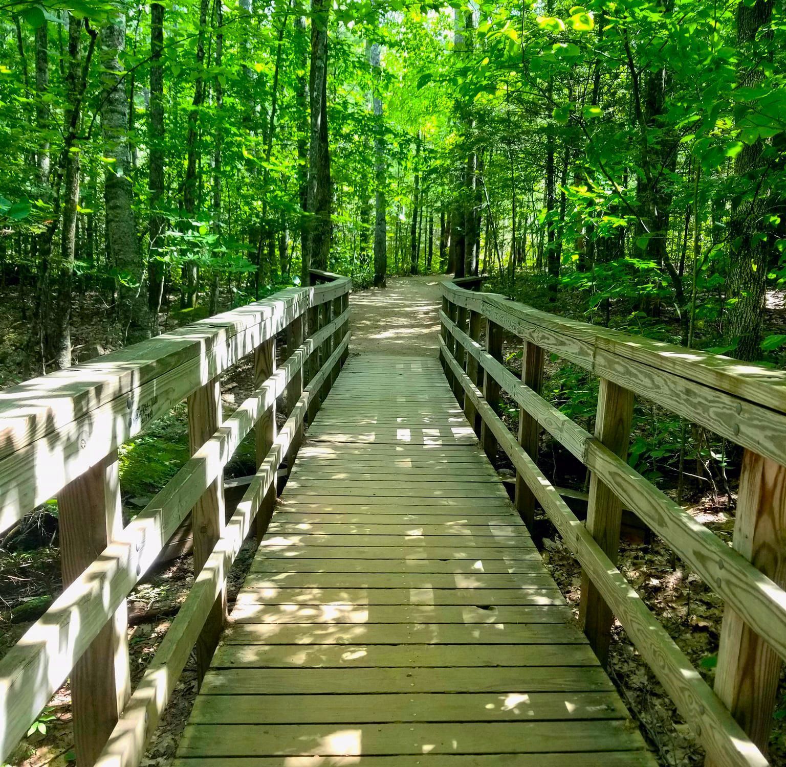 Wooden bridge over a shaded forest trail with lush green trees.