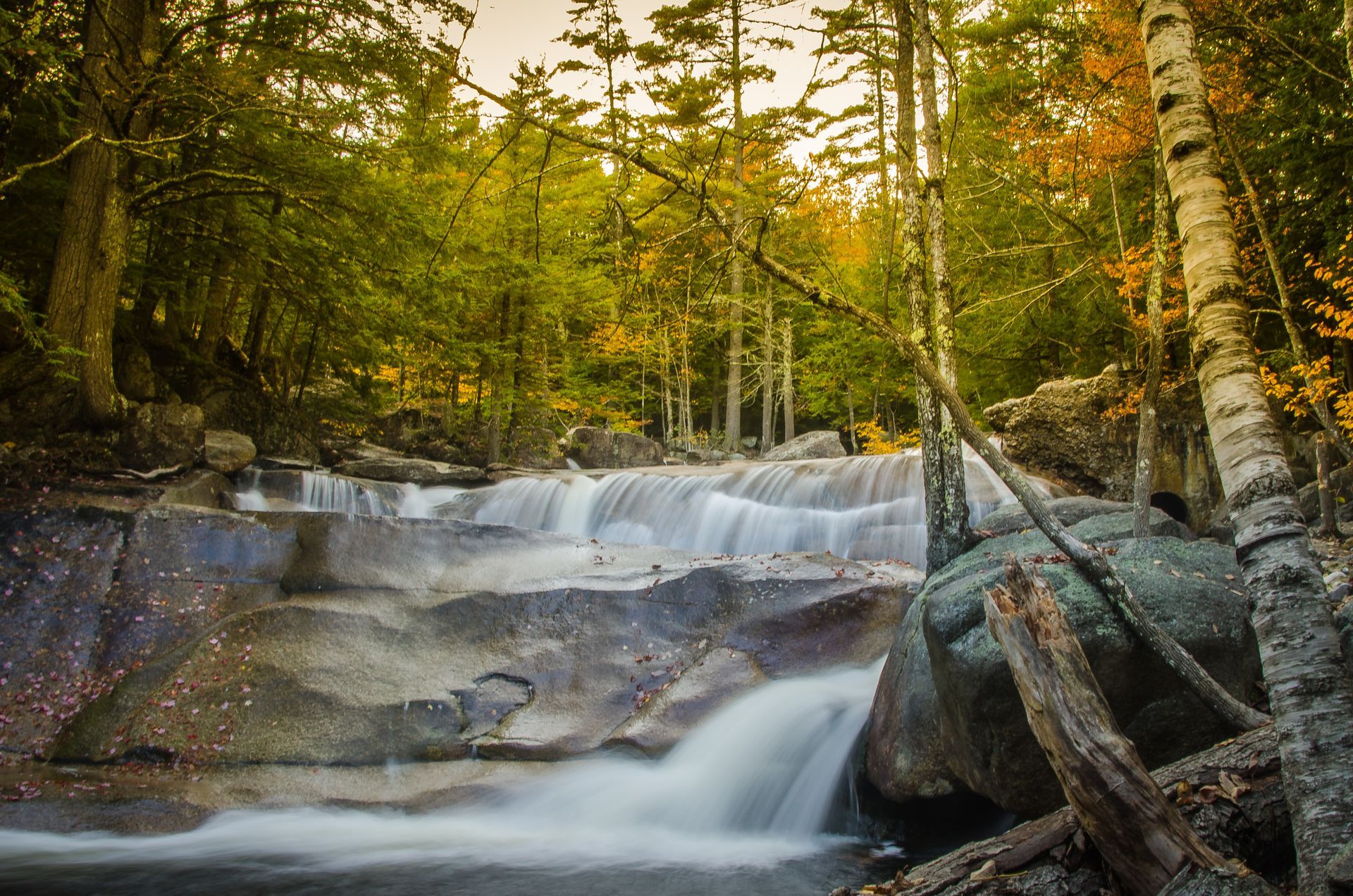 Waterfall cascading over rocks in a forest, surrounded by trees with autumn foliage.