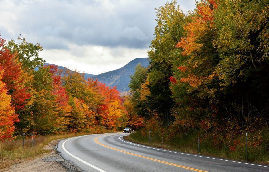 Winding road through vibrant autumn trees with colorful leaves, mountains in the distance under a cloudy sky.