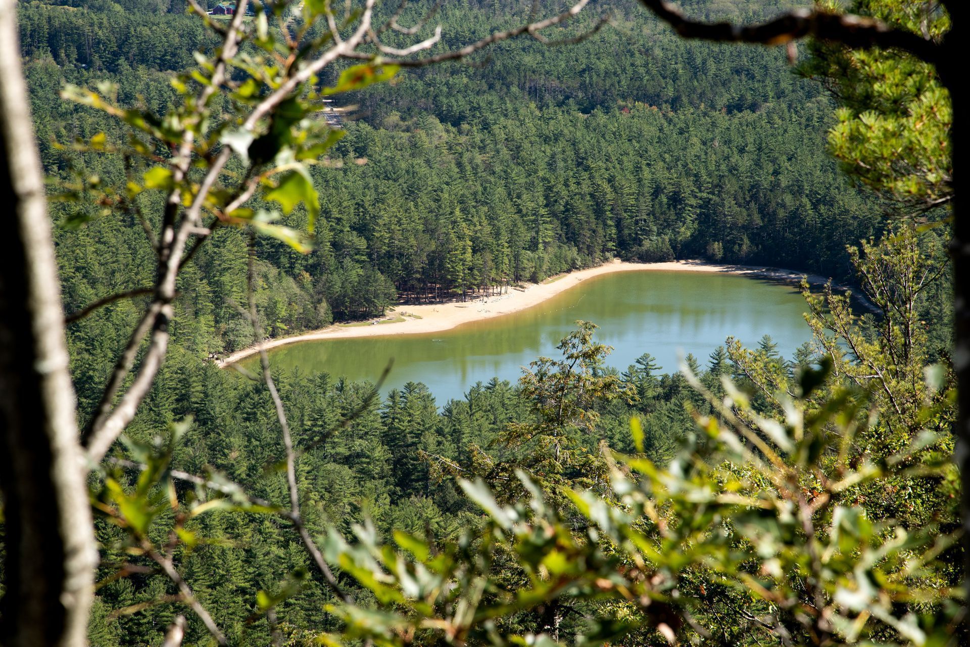 Overhead view of a calm lake surrounded by lush green forest and a sandy beach.
