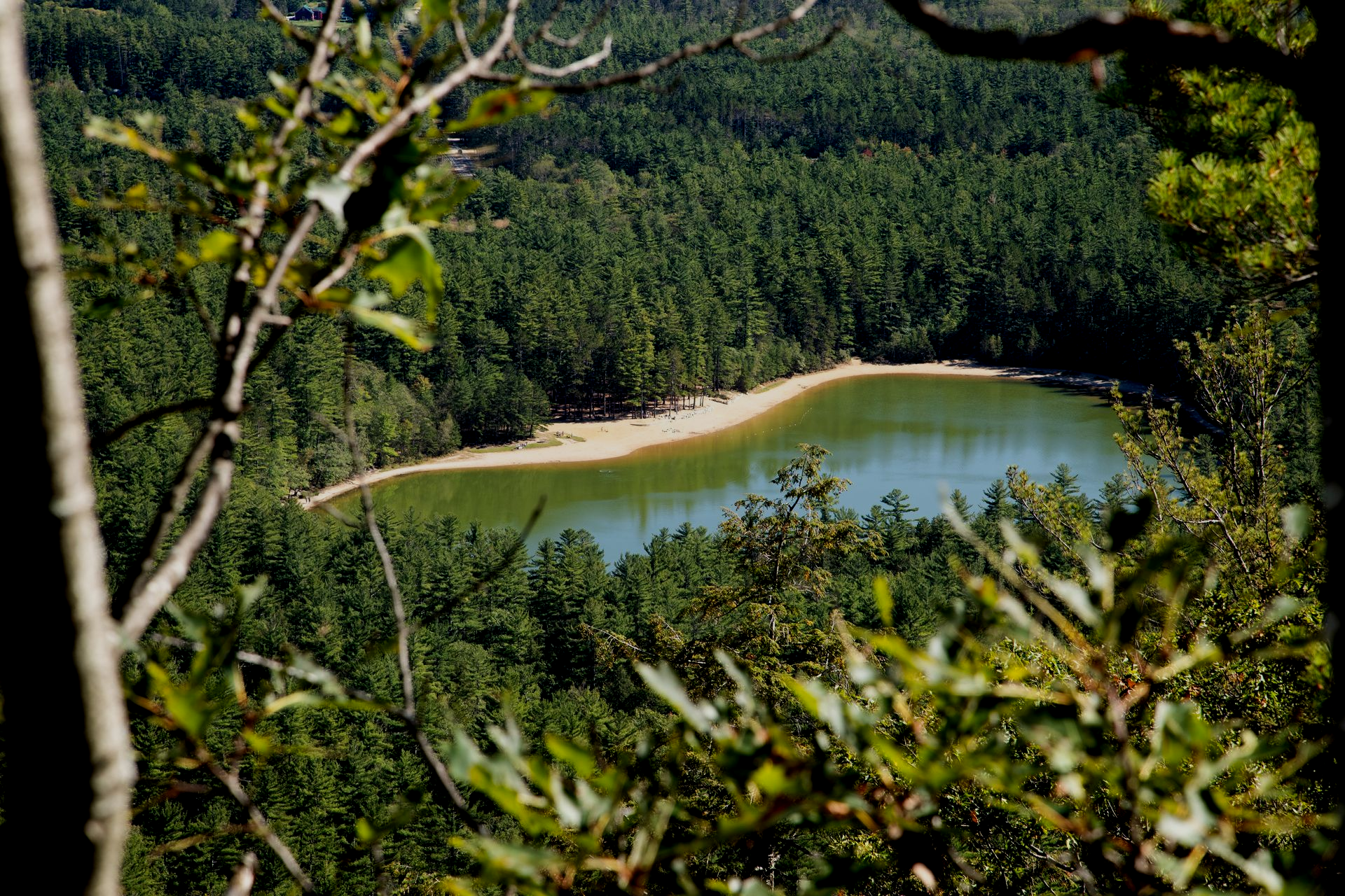 A serene lake nestled in a forest, viewed from above, surrounded by dense green trees and foliage.