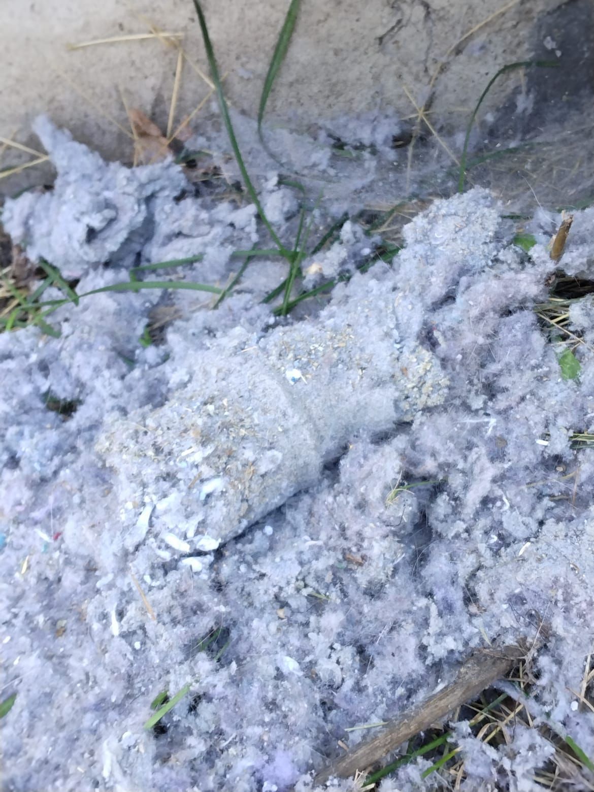 a close up of a pile of dust on the ground .
