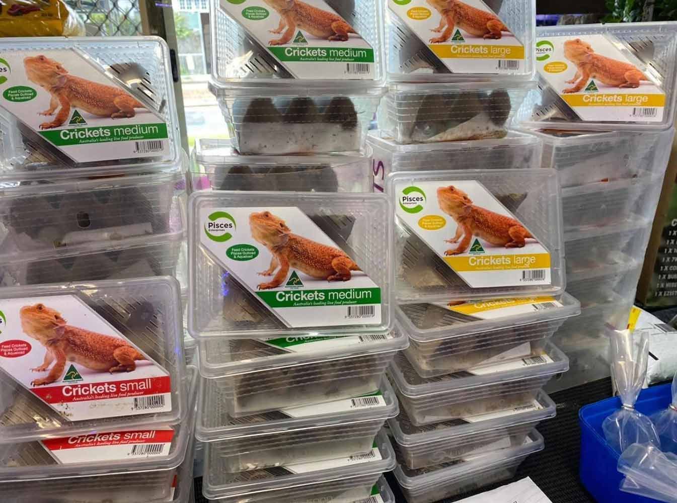 A Stack of Plastic Containers Filled With Bearded Dragon Food — Mackay City Pet Barn in Airlie Beach, QLD