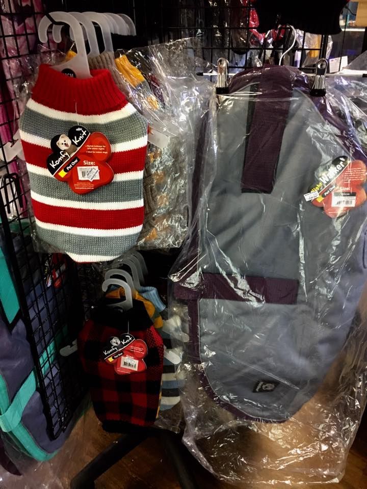 Pet's Accessories on Display — Mackay City Pet Barn in South Mackay, QLD