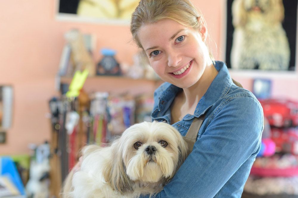 A Woman is Holding a Small White Dog in Her Arms — Mackay City Pet Barn in South Mackay, QLD