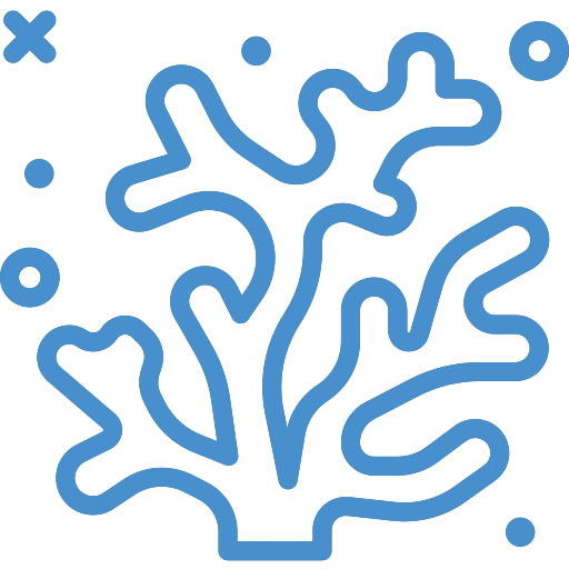 Coral Icon