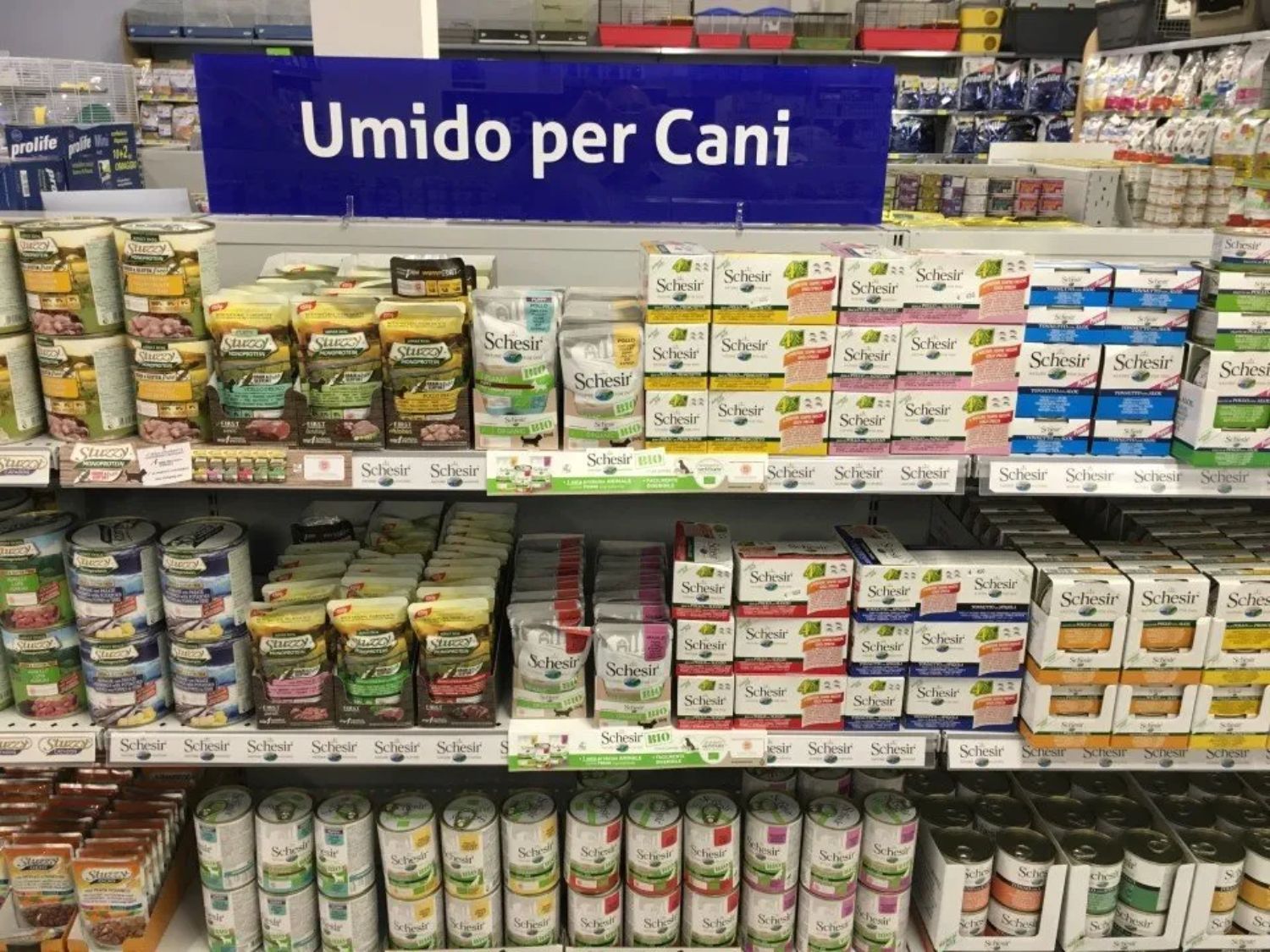 Il negozio