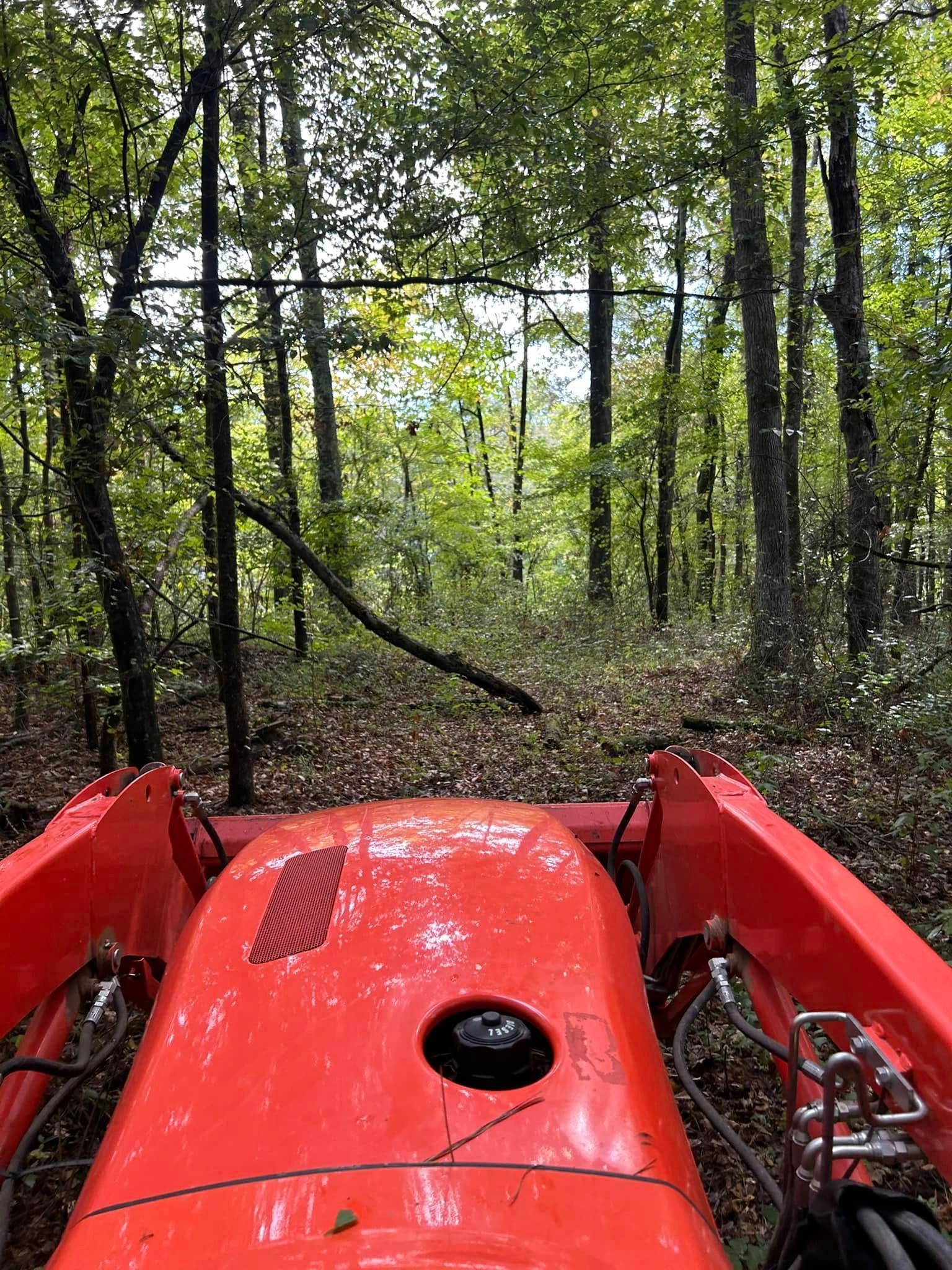 Red tractor moving through a wooded area. Leaves and trees surround the tractor, lit by sunlight.