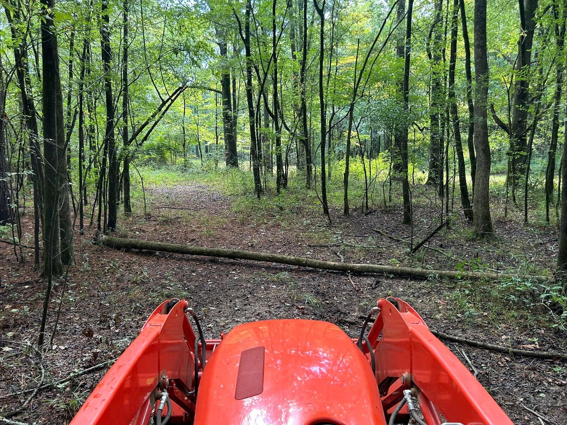 Red tractor clearing a path through a forest. Fallen log lies across the trail; trees surround the path.