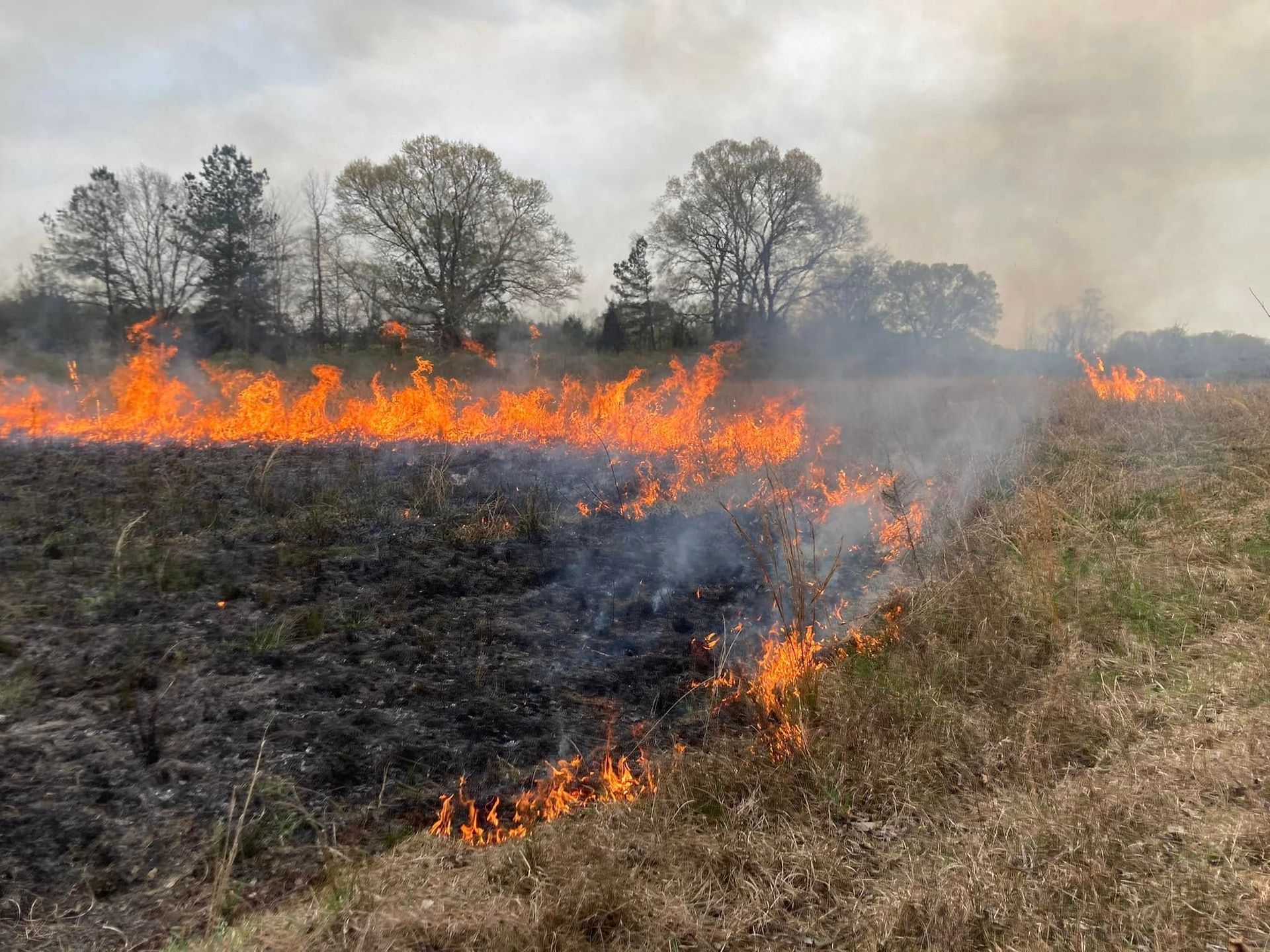 Fire blazing through a field of dry grass, with smoke billowing. Trees stand in the background.