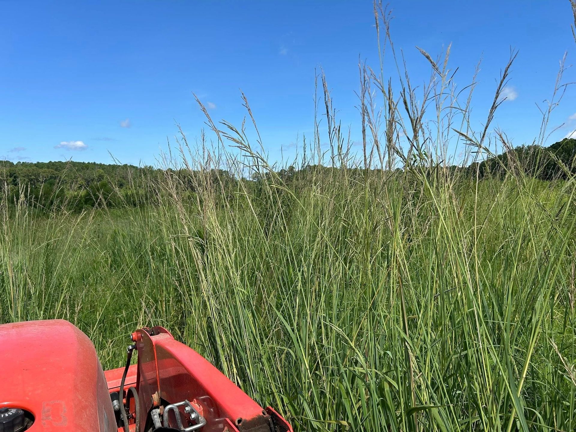 A red tractor mows tall green grass in a field under a blue sky with a distant treeline.