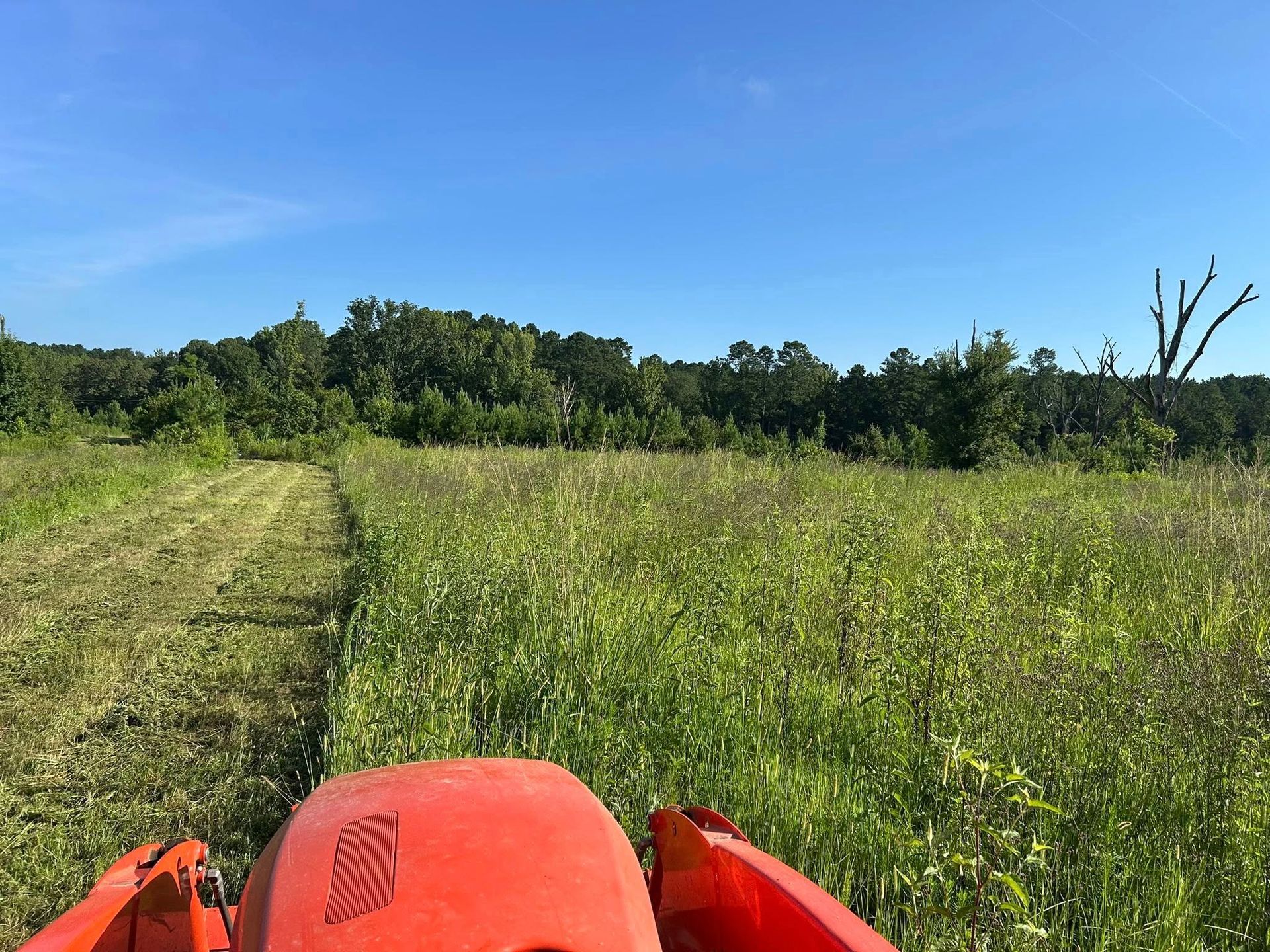 A tractor mowing a grassy field, leaving a striped pattern. A tree line borders the field under a blue sky.